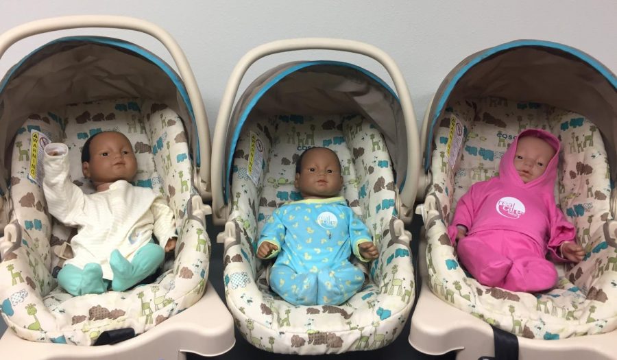 Child Development students took home Real Life babies recently in order to learn what its like to be the parent of a newborn.