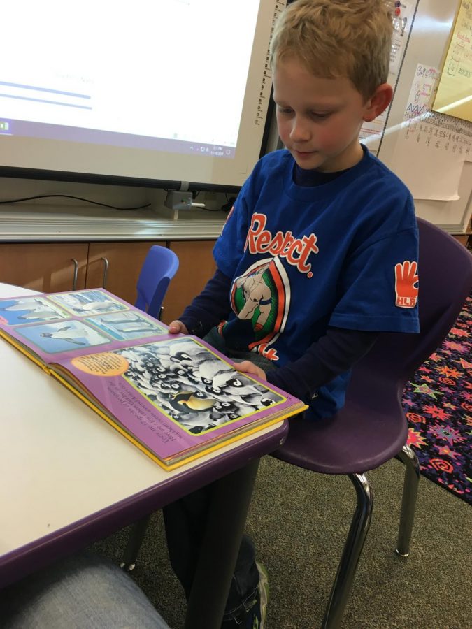   One of Mrs. Larson’s third grade students at Westside reads a book about penguins.  
