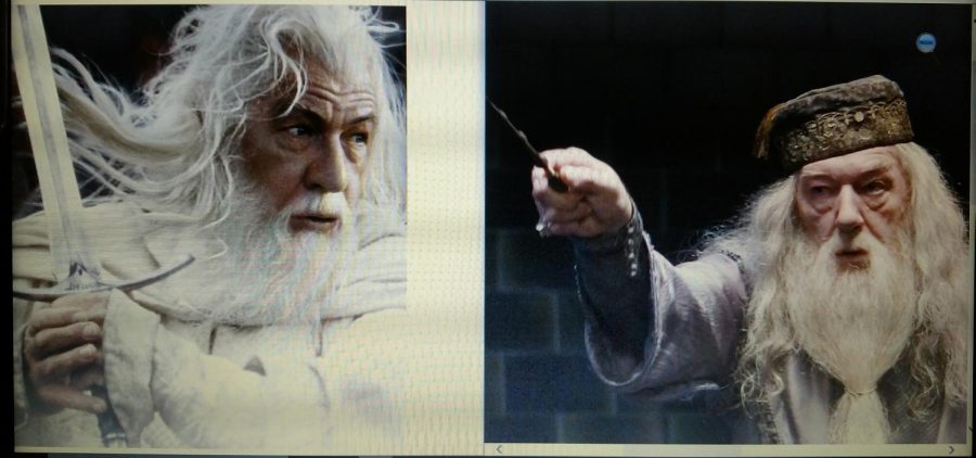 Gandalf and Dumbledore