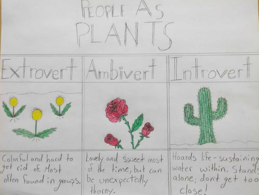 Extrovert vs. Introvert