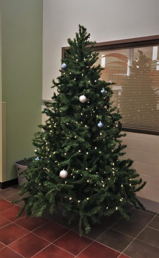 Students could buy a star to hang on the tree before Christmas Break to support Make a Wish.