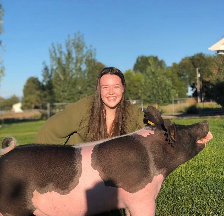 Allison Morrison smiles with her 9 month old Hamshire influenced hog named Gunther. She has shown this hog for her FFA class.