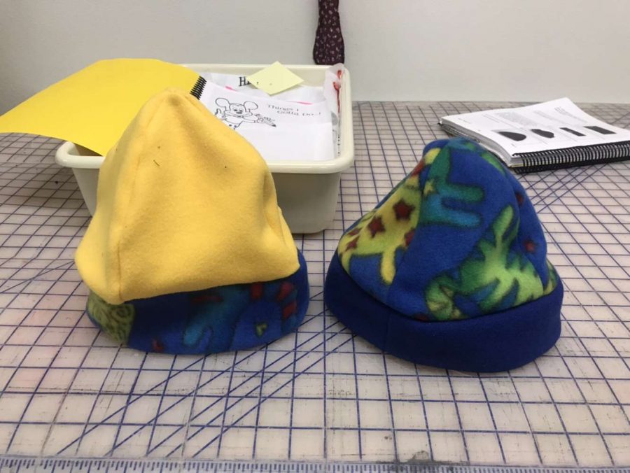 Junior Hannah Hincks created these hats in Mrs.Bennett’s Apparels and Textiles class her sophomore year. Students no longer have the opportunity to take this class for the 2021-2022 school year.

