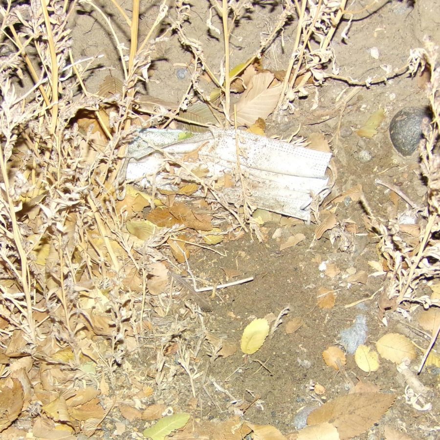A surgical mask is discarded on the ground