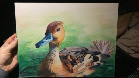  Freshman Sophia Petries final duck painting that won her the Best of Show title