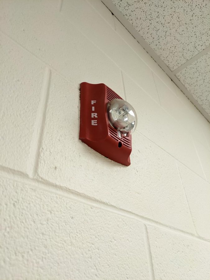 Students at PHS are fed up with the noise of school-provided fire alarms.
