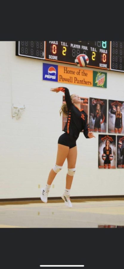 Junior Addy Thorington tosses the ball up for a serve during a game against Red Lodge on Oct. 4. 
