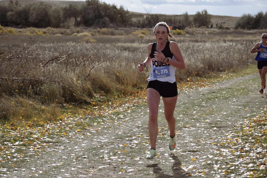 PHS Junior Sophomore Kinley Cooley keeps a consistent stride in Ethete for State Cross Country. 