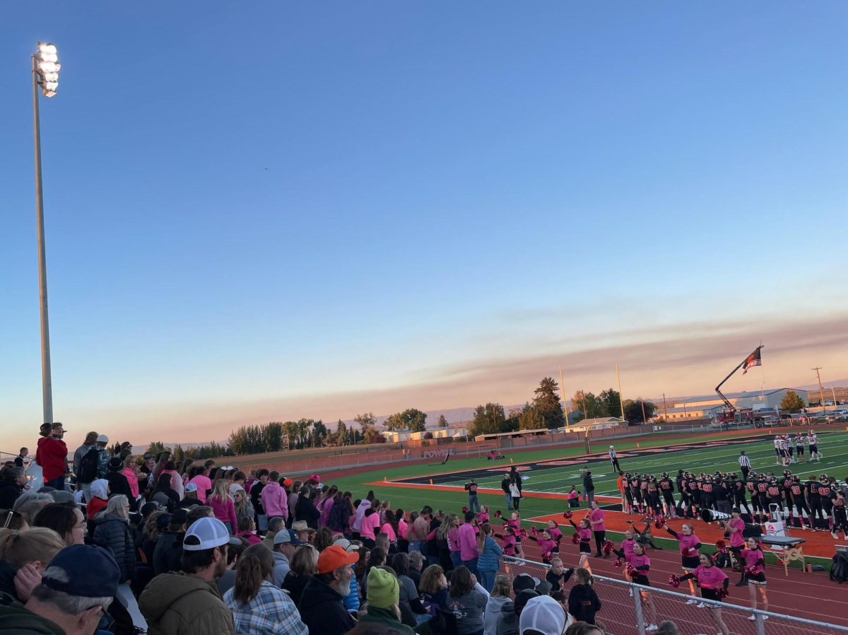 Enthusiastic fans cheer for the football players, and show support for breast cancer patients last Friday. Photo courtesy of Lisa Jarvis.