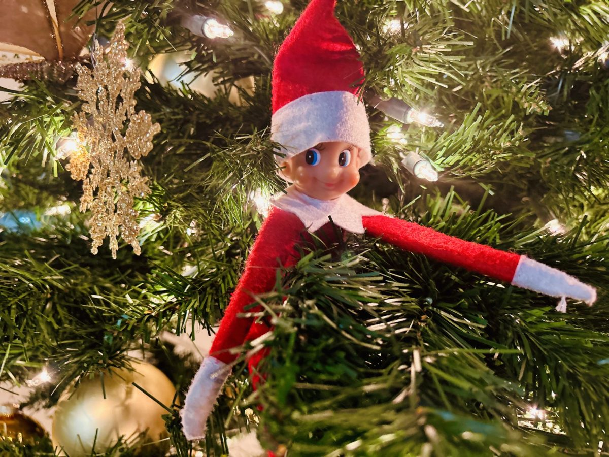 Many people enjoy their yearly Christmas tradition, including the Elf on the Shelf that pays families a visit during Christmas time. 