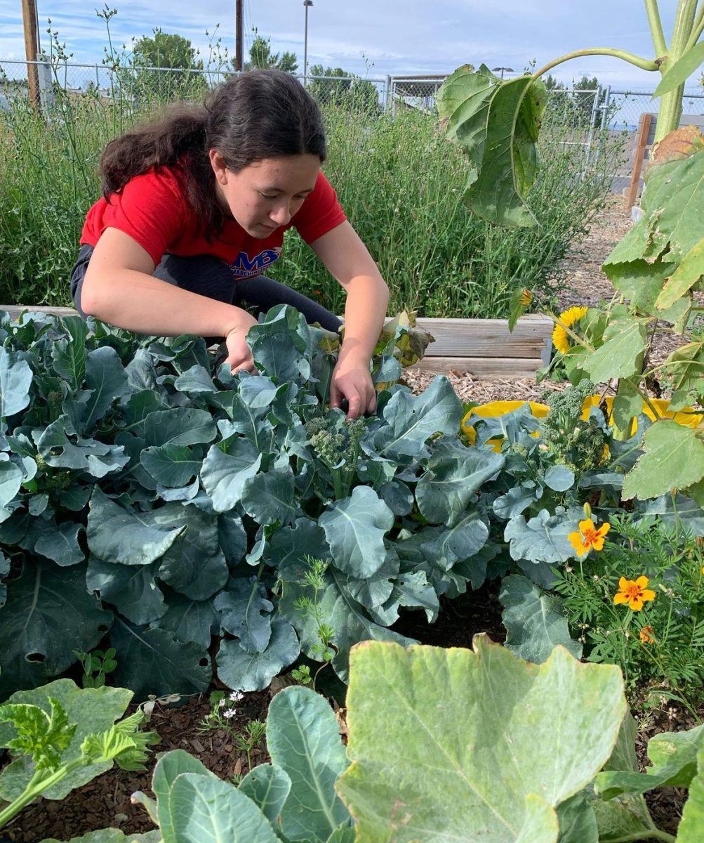 Involved with community service, Kik Hayano started a community garden in Powell.
