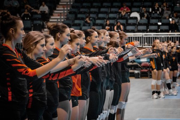 The Powell Panther Volleyball Team locks in to secure a third-place victory at state early this November. 