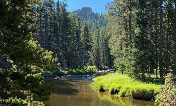 A beautiful river winds through the Bighorn Mountains prior to the forest fire.