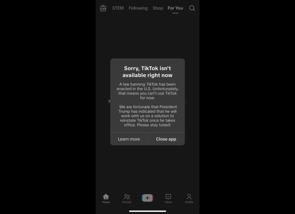 The horrifying message that greeted TikTok users on January 18th.