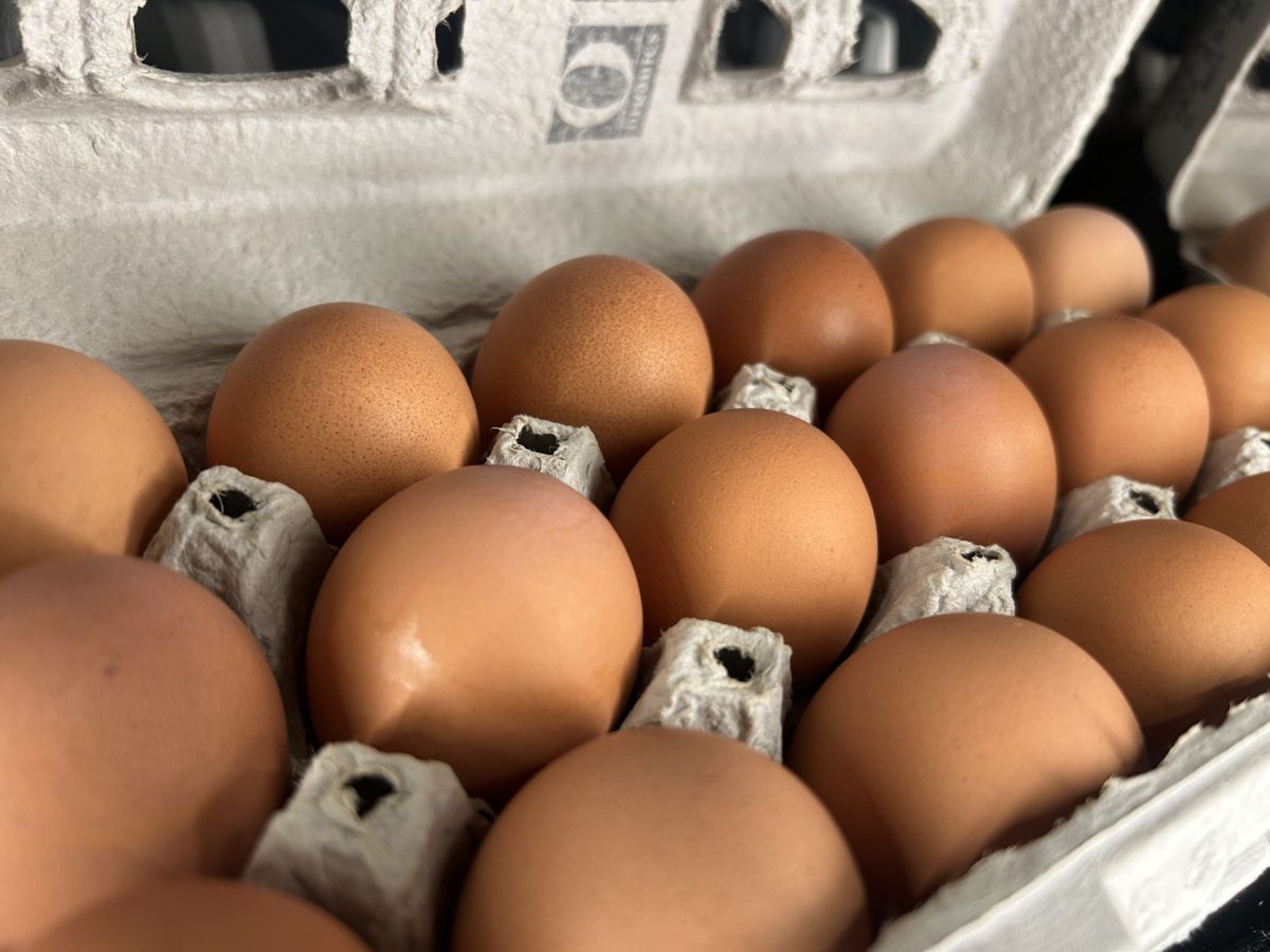 Egg prices have made an effect on Powell store’s ability to provide eggs for their customers. 