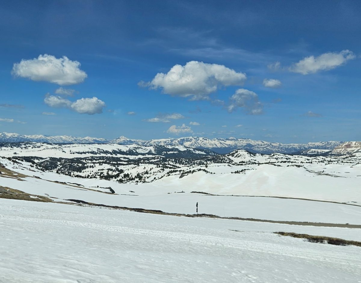 Vast amounts of pristine land could be utilized in the near future by data facilities.