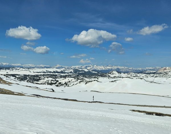 Vast amounts of pristine land could be utilized in the near future by data facilities.